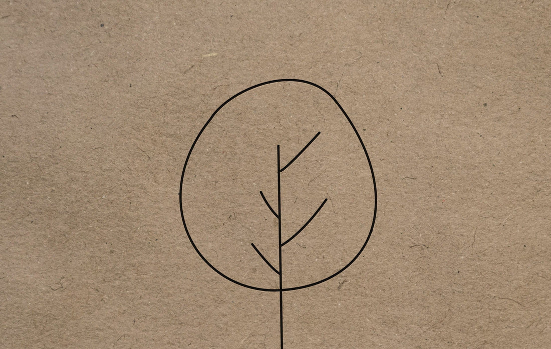 Create with Purpose: How Your Purchase Helps the Planet