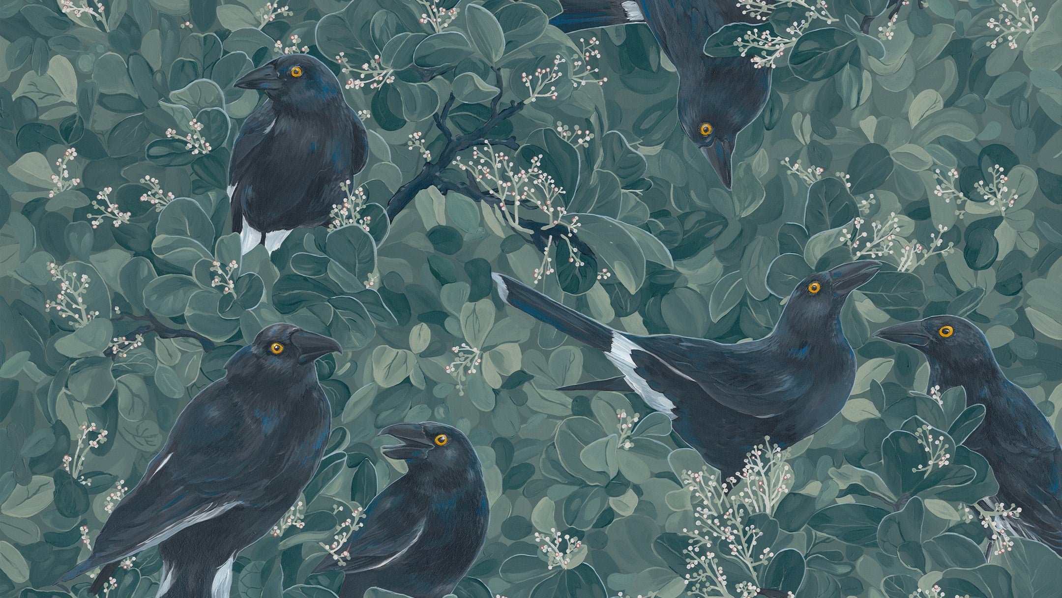 Home Birdies Fine Art by Australian Artist Ellena Jade Creative.  Currowongs in a tree